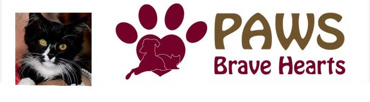 default-logo